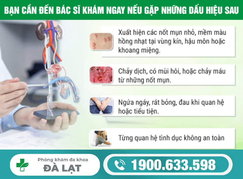 Hình ảnh minh họa